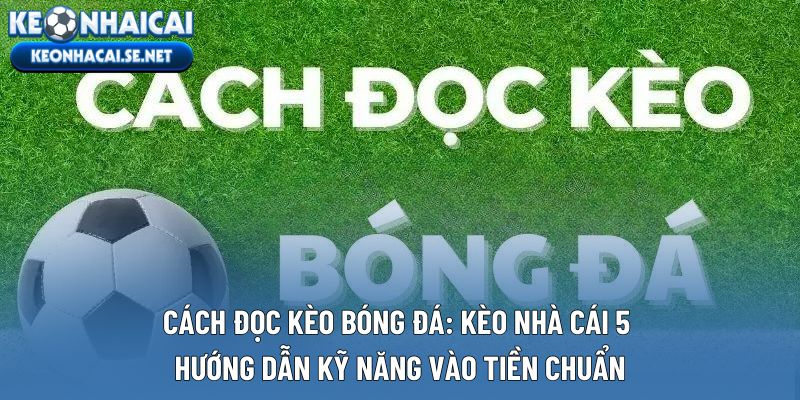 Cách Đọc Kèo Bóng Đá: Kèo Nhà Cái 5 Hướng Dẫn Kỹ Năng Vào Tiền Chuẩn