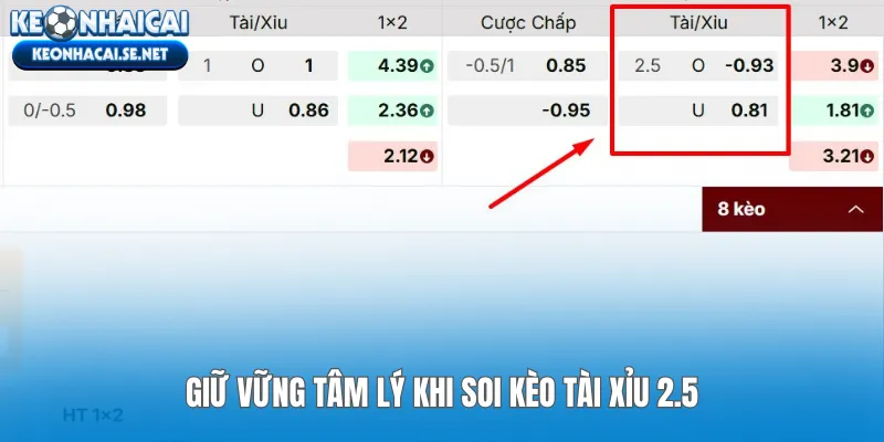 Giữ vững tâm lý khi soi kèo Tài Xỉu 2.5