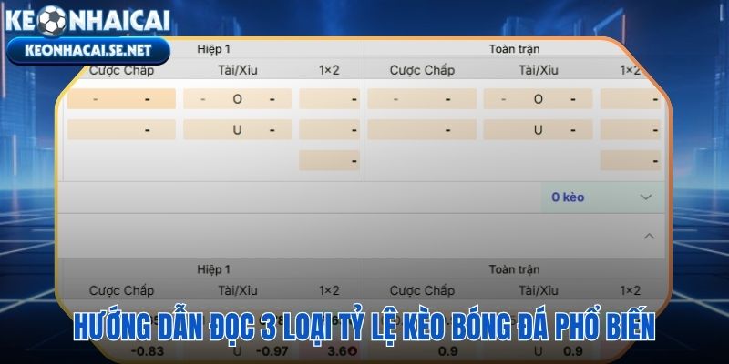 Ba loại tỷ lệ bóng đá với quy tắc đọc và tính thưởng riêng