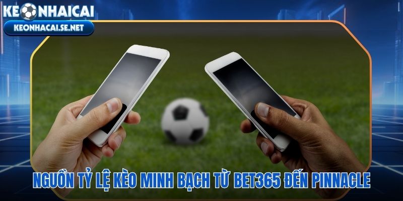 Dữ liệu tỷ lệ bóng đá nhà cái gốc trực tiếp từ các đơn vị được cấp phép quốc tế